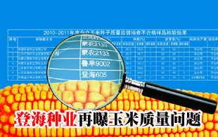 登海种业再曝玉米质量问题 被指研发思路走偏